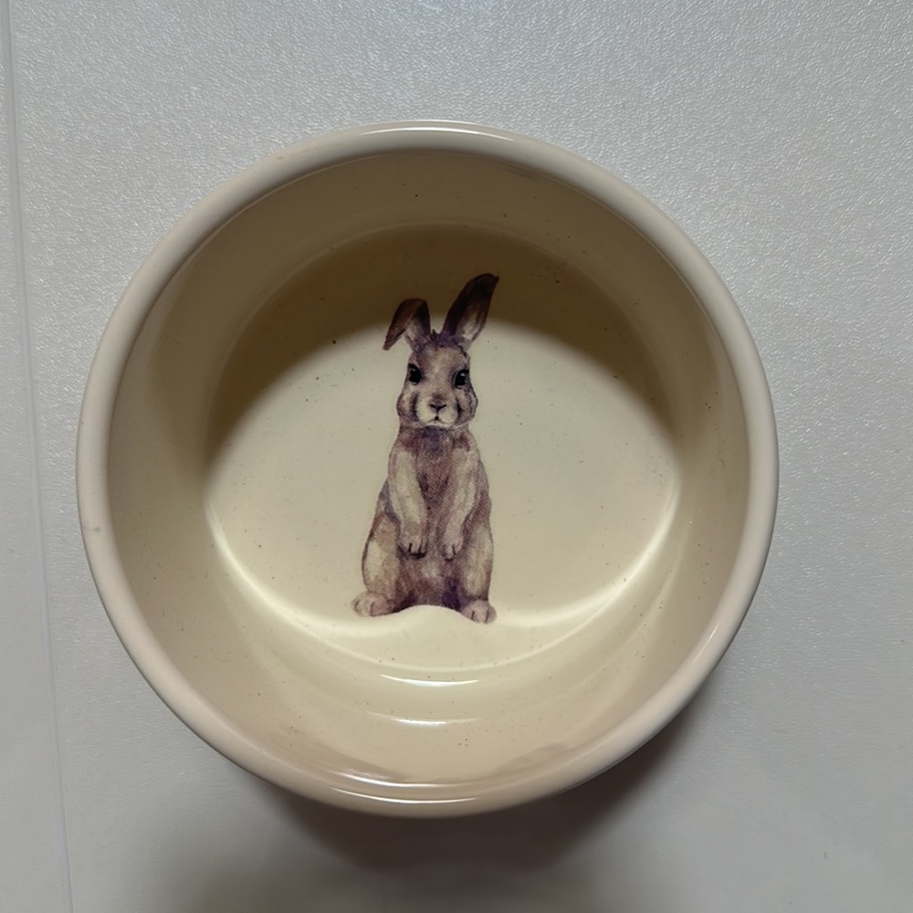 Plaid Easter Bunny Ramekins Set of 4 pale pink Bakeshop 4"x2" Oven Safe
